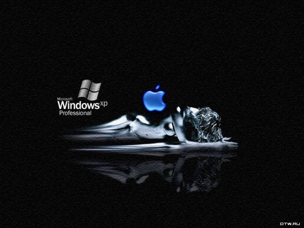 Windows XP Alternative версия 11.1 (Январь 2011)